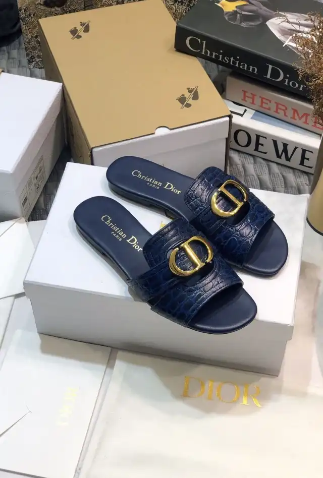 hype Christian Dior Slippers