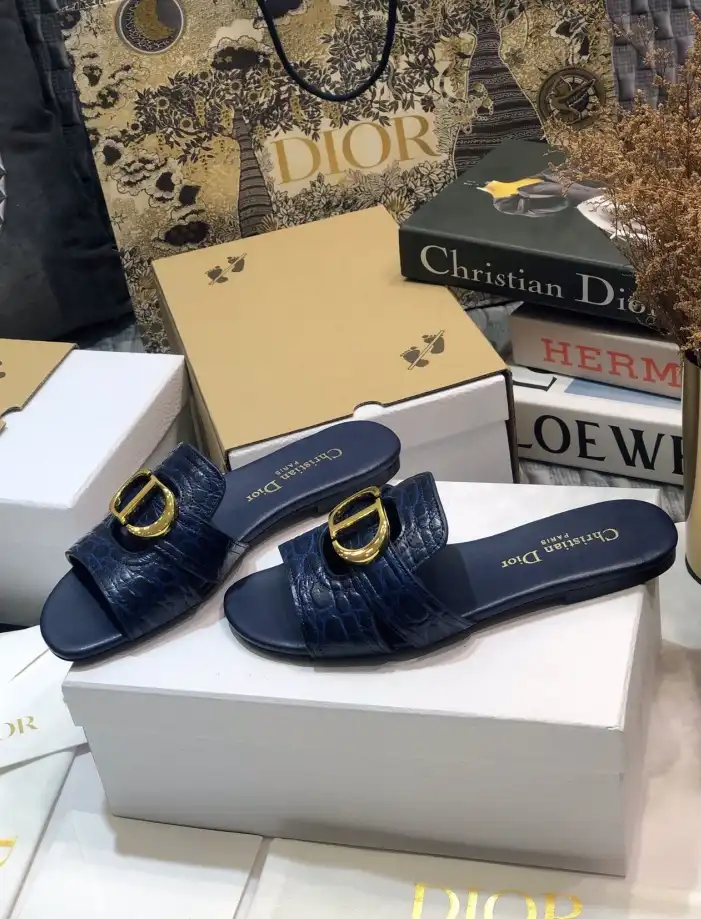 hype Christian Dior Slippers