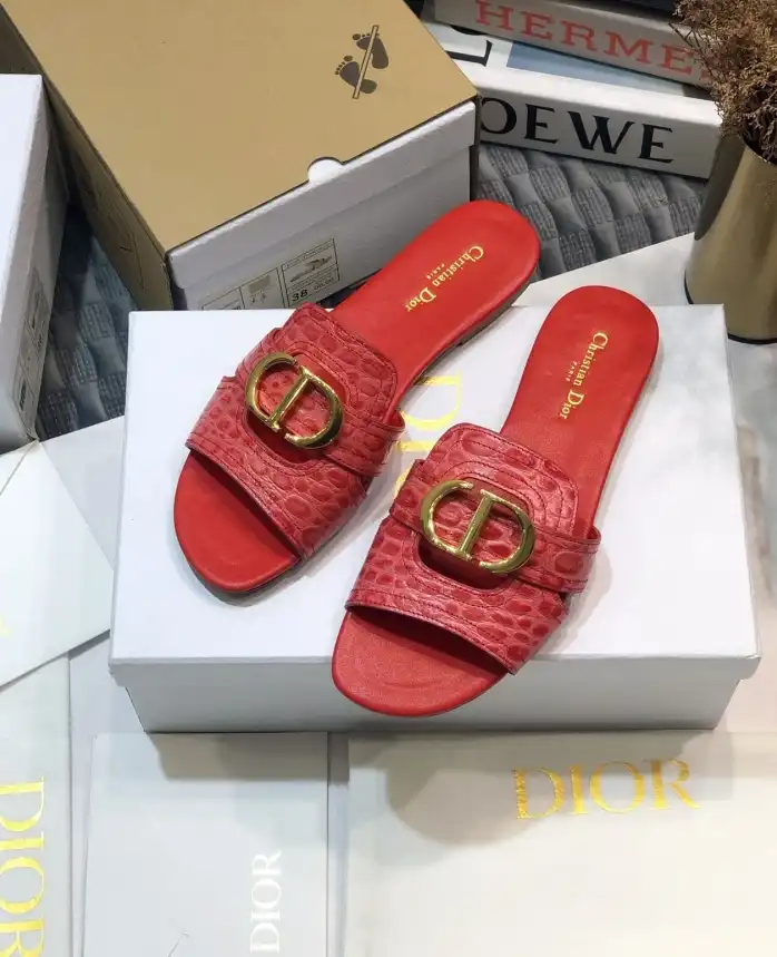 hype Christian Dior Slippers