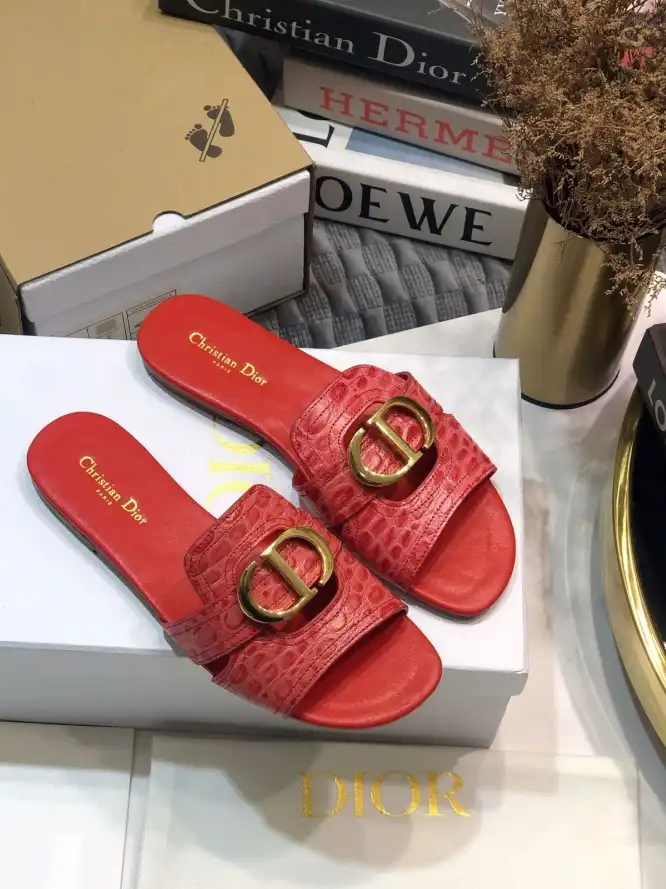 hype Christian Dior Slippers