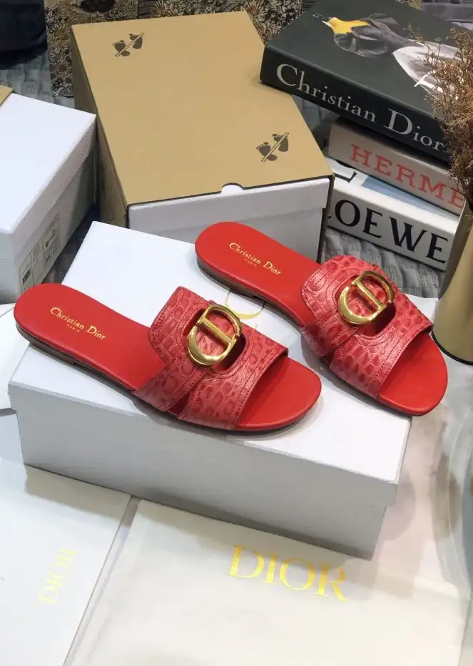 hype Christian Dior Slippers