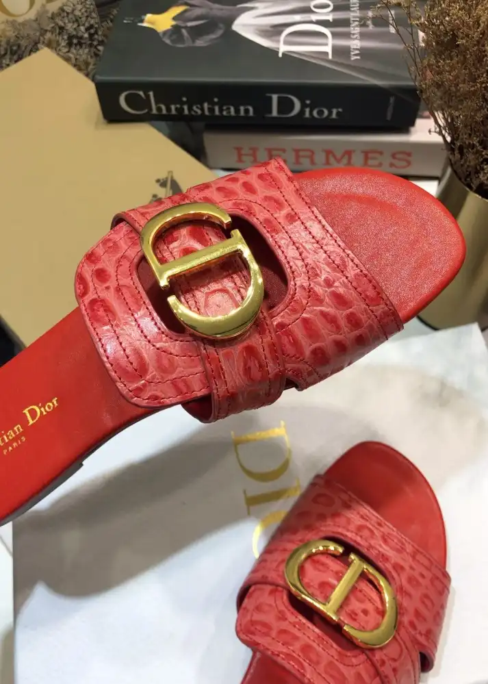 hype Christian Dior Slippers