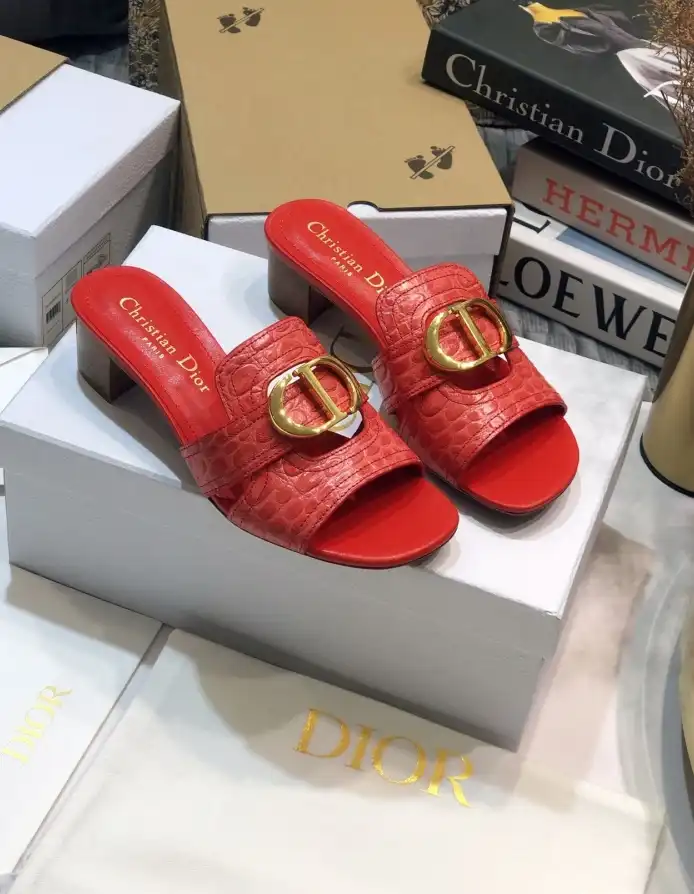 hype Christian Dior Slippers