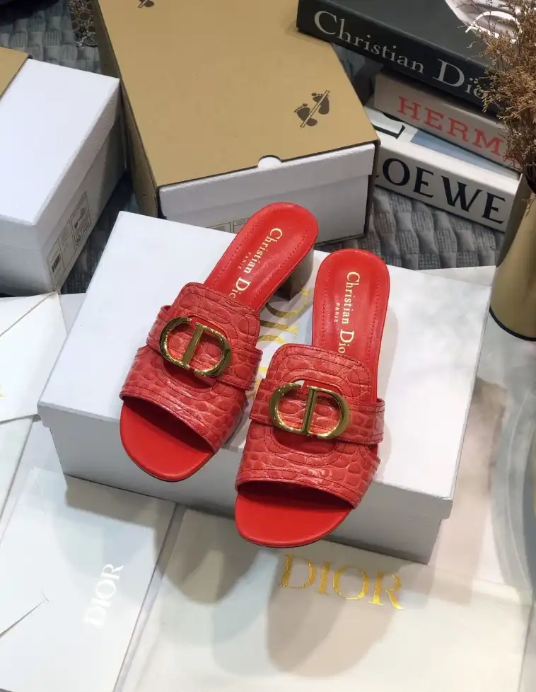 hype Christian Dior Slippers