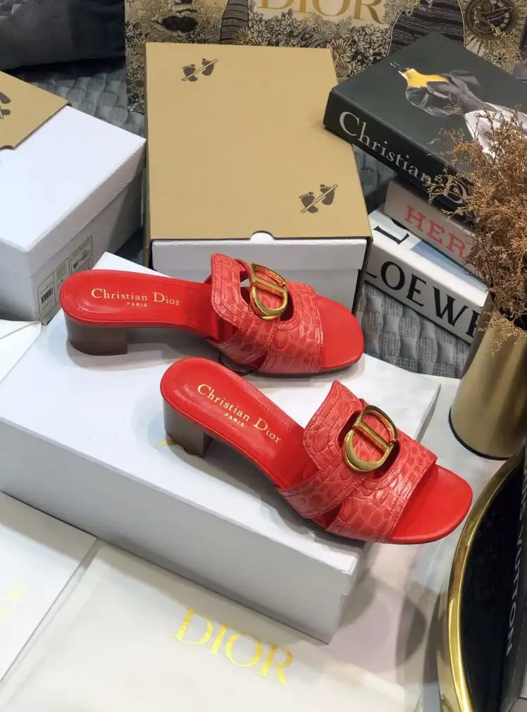 hype Christian Dior Slippers