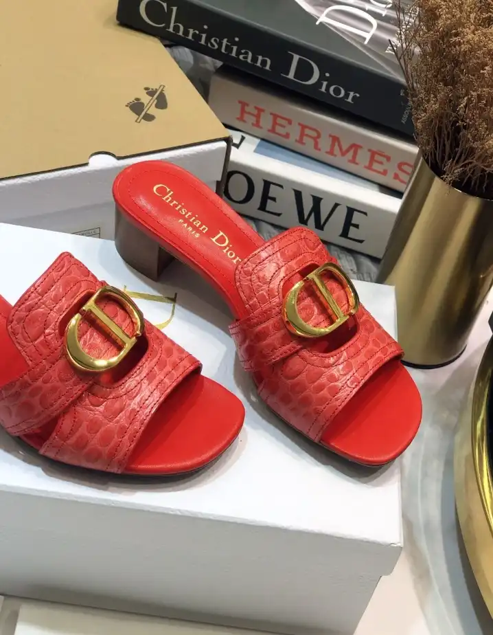 hype Christian Dior Slippers