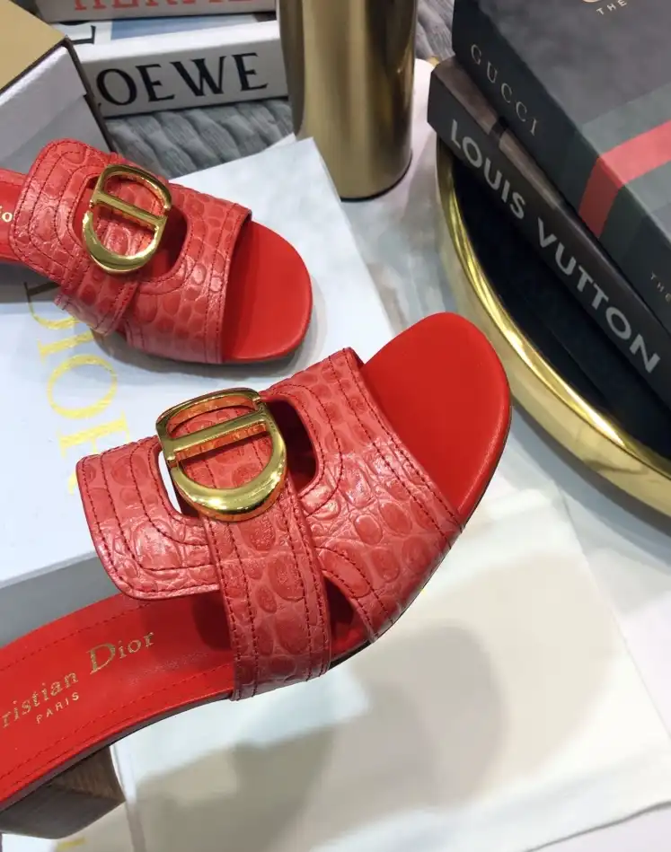 hype Christian Dior Slippers