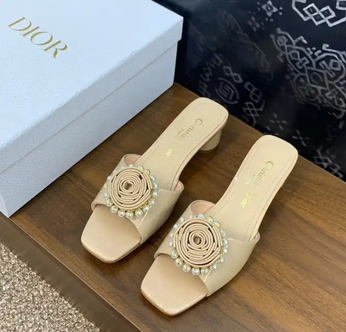 hype Christian Dior Slippers