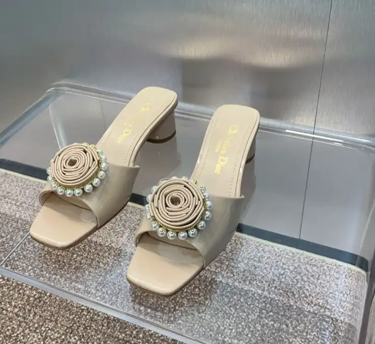 hype Christian Dior Slippers