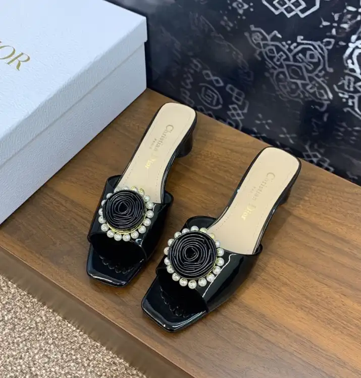 hype Christian Dior Slippers