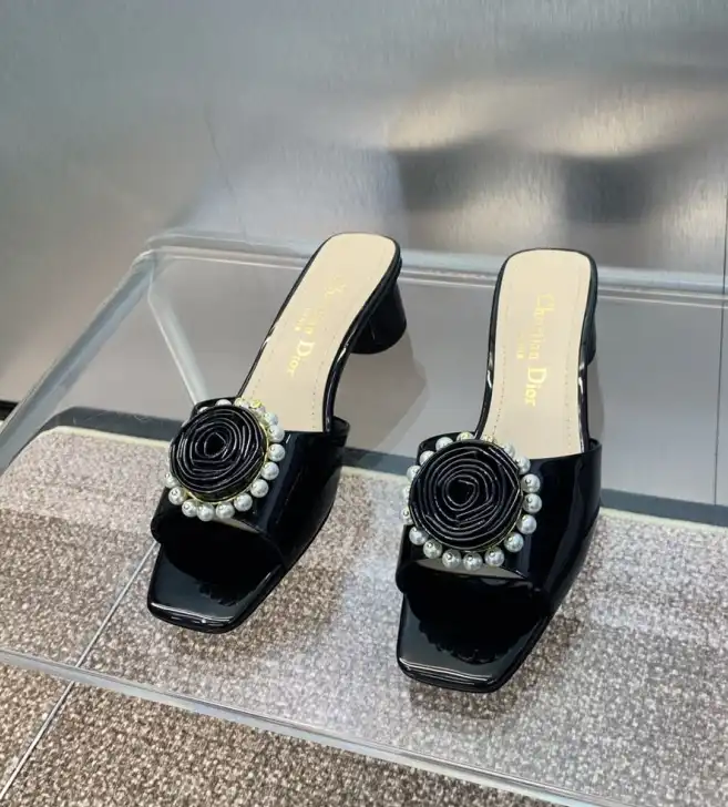 hype Christian Dior Slippers