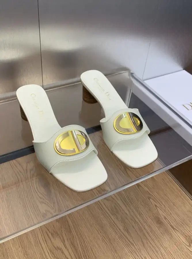 hype Christian Dior Slippers