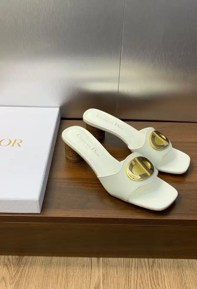 hype Christian Dior Slippers