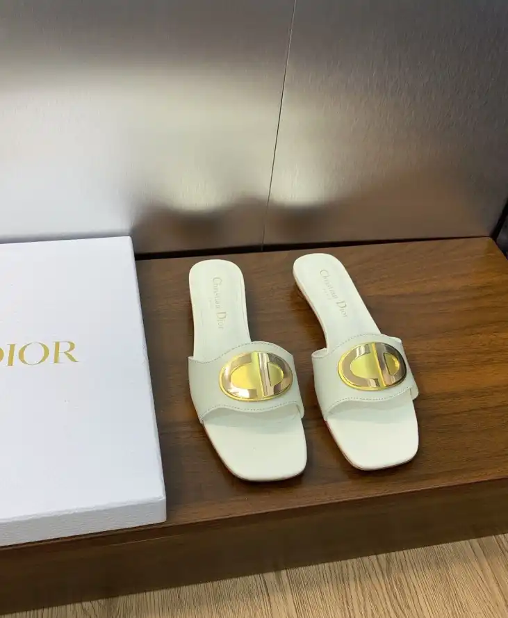 hype Christian Dior Slippers