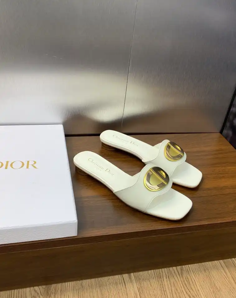 hype Christian Dior Slippers