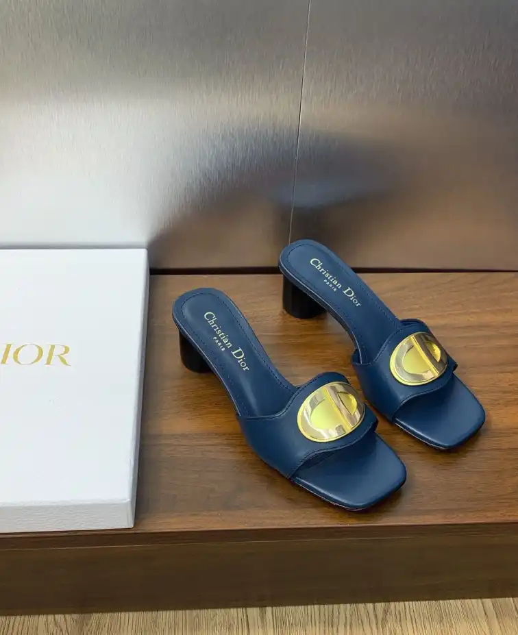 hype Christian Dior Slippers