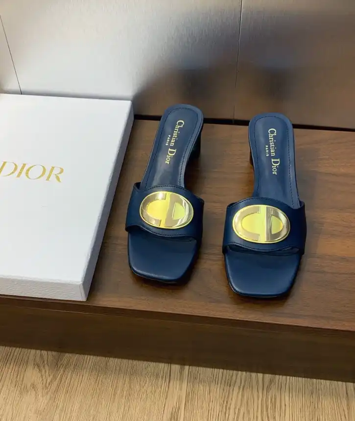 hype Christian Dior Slippers