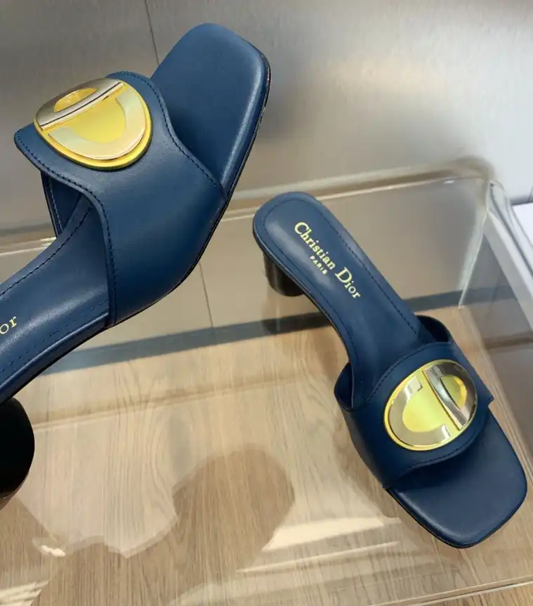 hype Christian Dior Slippers