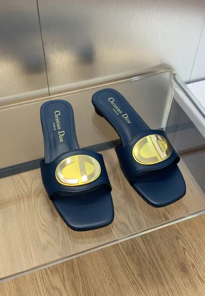 hype Christian Dior Slippers