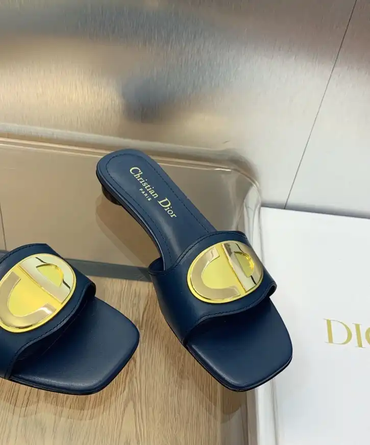 hype Christian Dior Slippers