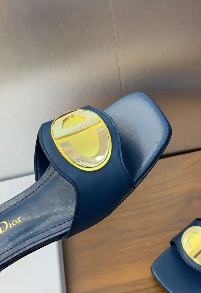 hype Christian Dior Slippers