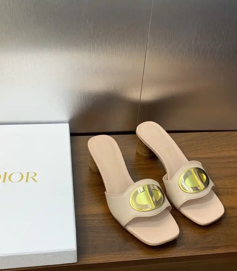 hype Christian Dior Slippers