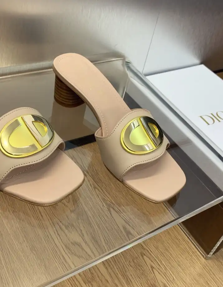 hype Christian Dior Slippers