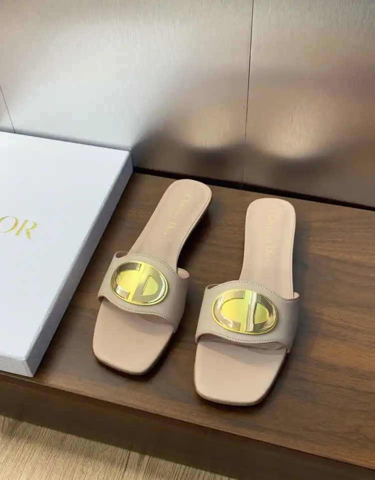 hype Christian Dior Slippers