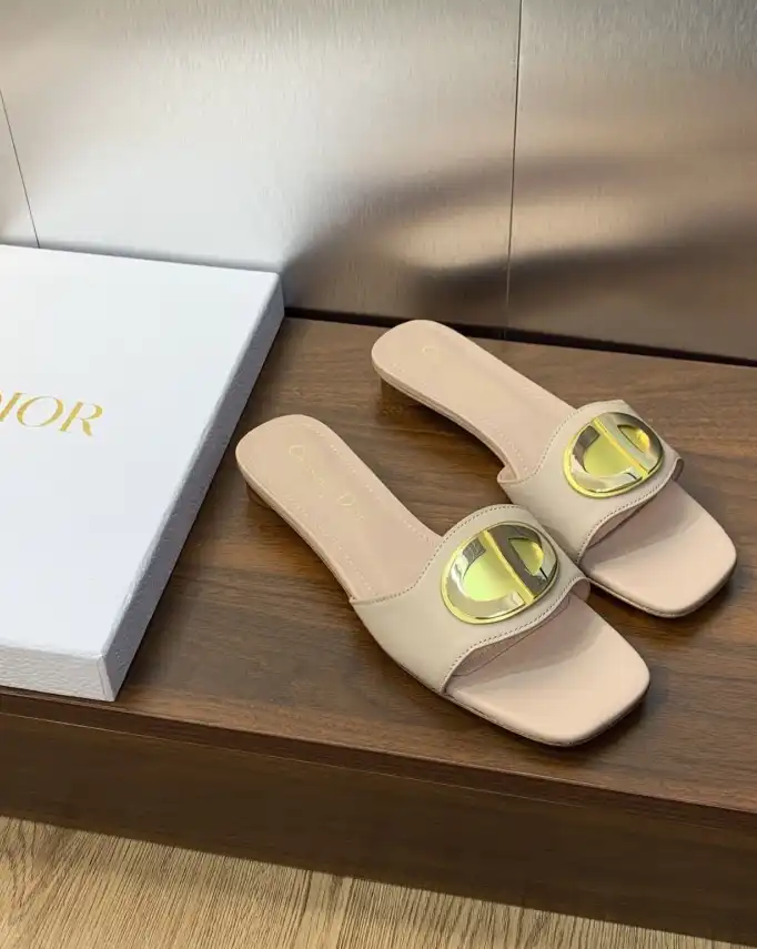 hype Christian Dior Slippers