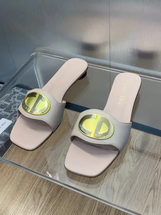 hype Christian Dior Slippers