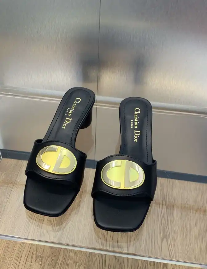 hype Christian Dior Slippers