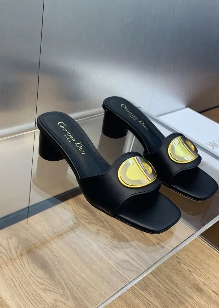 hype Christian Dior Slippers