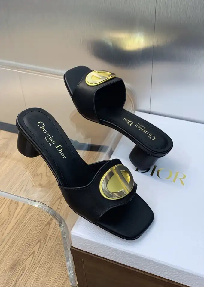 hype Christian Dior Slippers