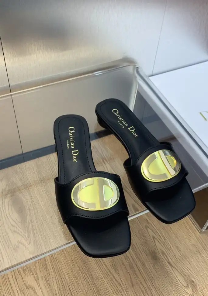 hype Christian Dior Slippers