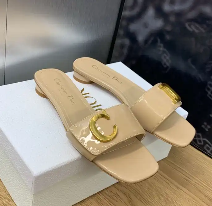 hype Christian Dior Slippers