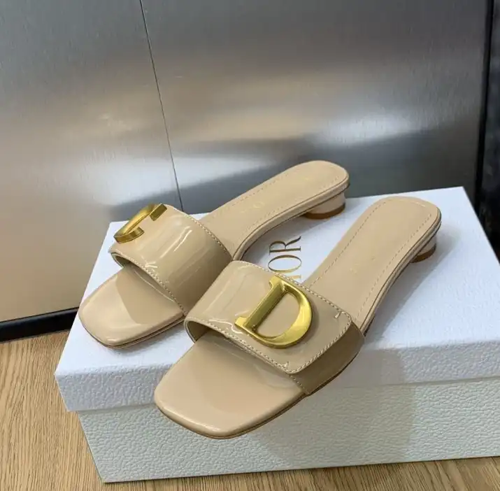 hype Christian Dior Slippers