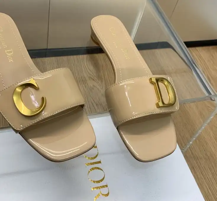 hype Christian Dior Slippers