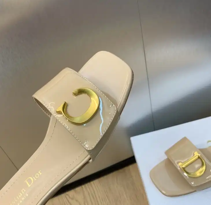 hype Christian Dior Slippers