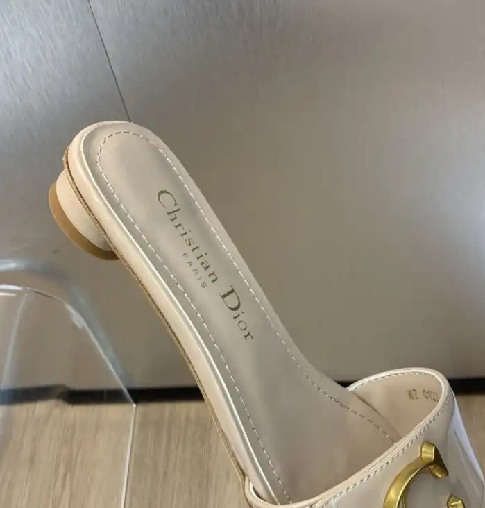 hype Christian Dior Slippers