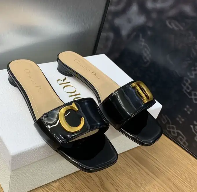 hype Christian Dior Slippers