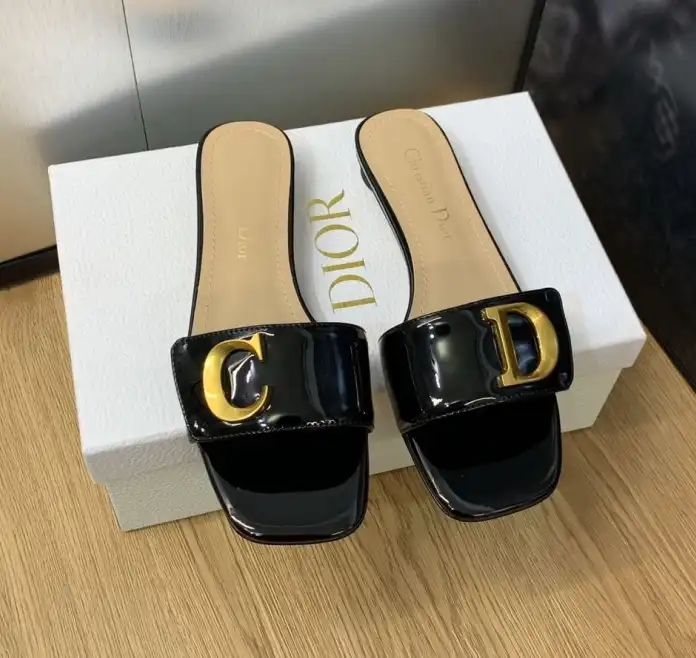 hype Christian Dior Slippers