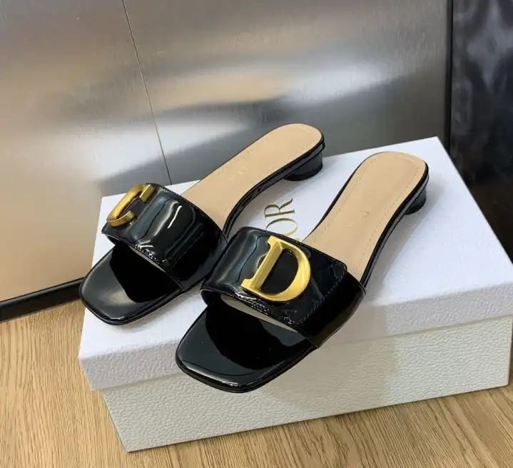 hype Christian Dior Slippers