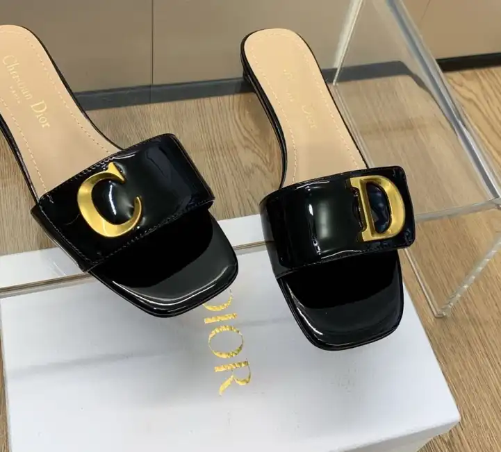 hype Christian Dior Slippers