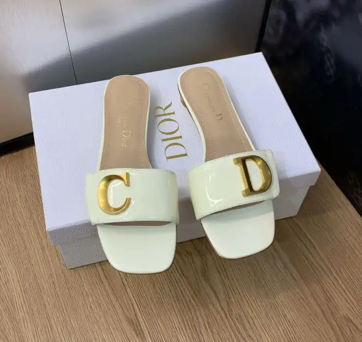 hype Christian Dior Slippers