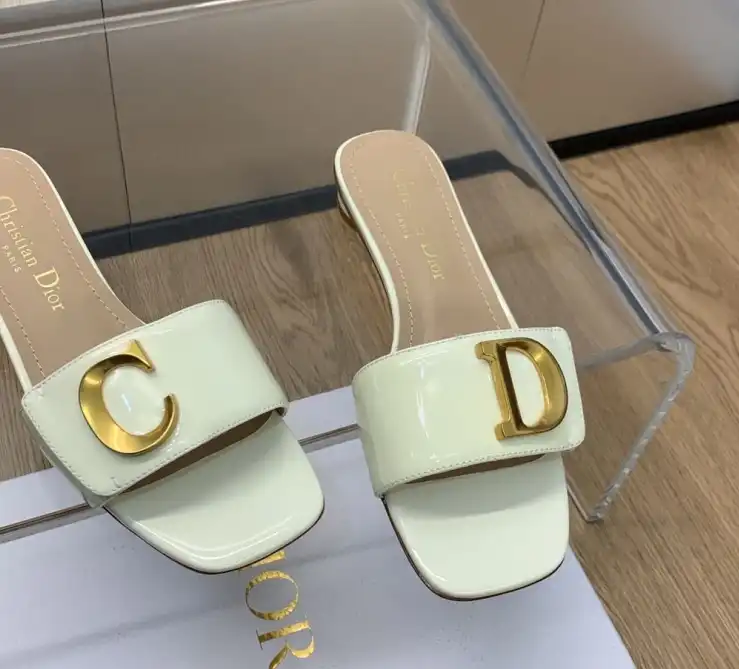 hype Christian Dior Slippers