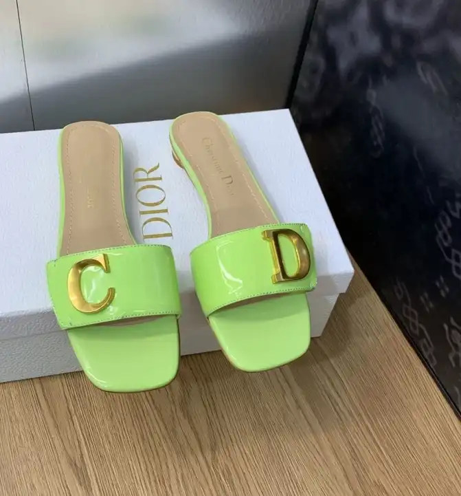 hype Christian Dior Slippers