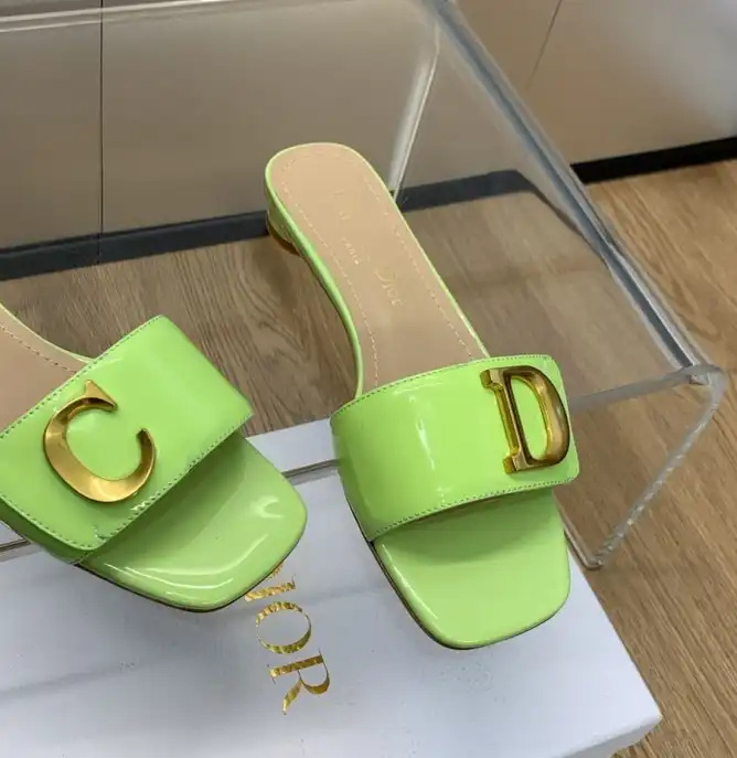 hype Christian Dior Slippers