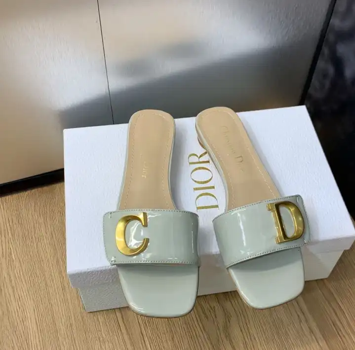 hype Christian Dior Slippers