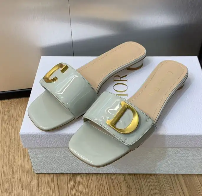 hype Christian Dior Slippers