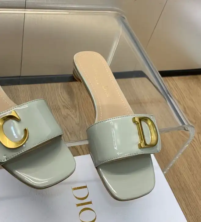 hype Christian Dior Slippers